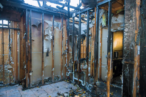 Professional Fire Damage Removal technician working in Cottage Grove, WI